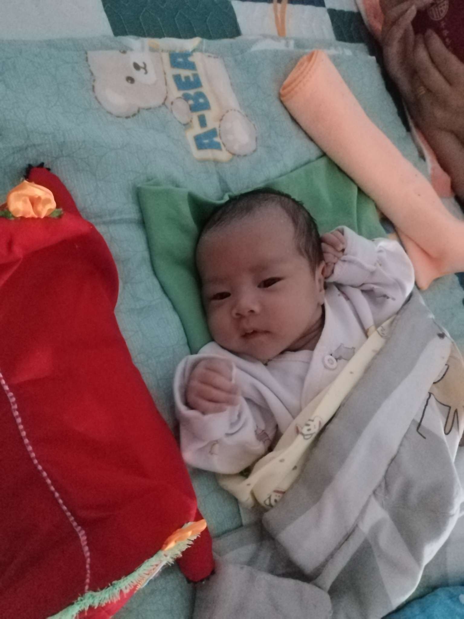 抱养一个男婴为他寻找家人