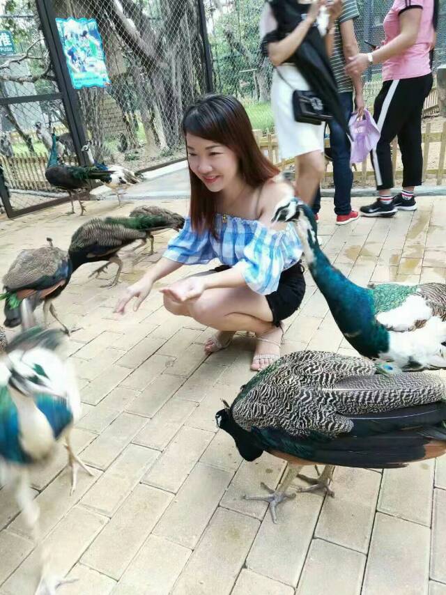 大家帮忙找一找