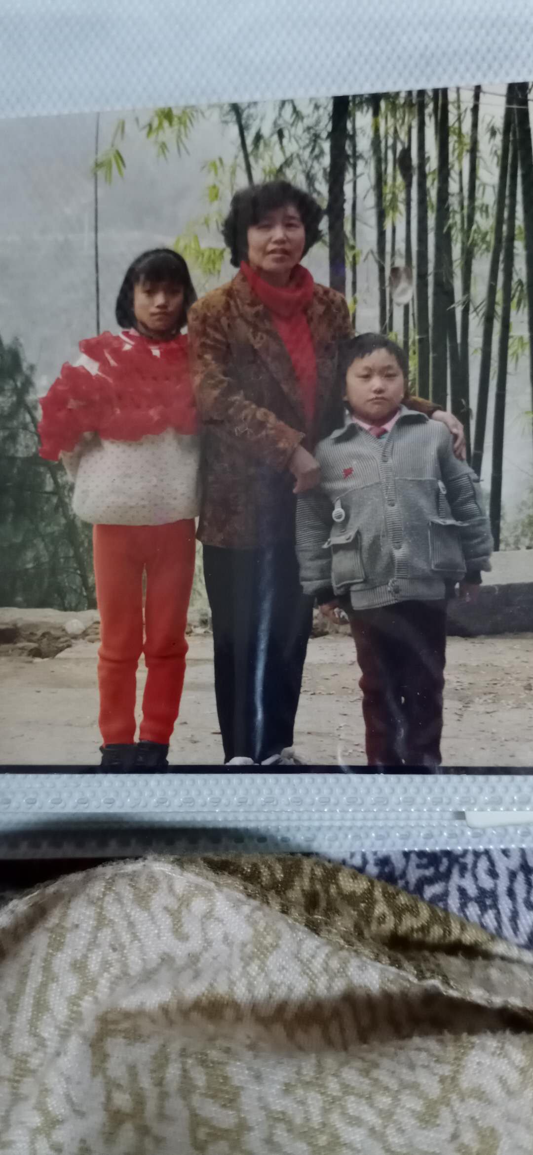 寻弋陈 弋波