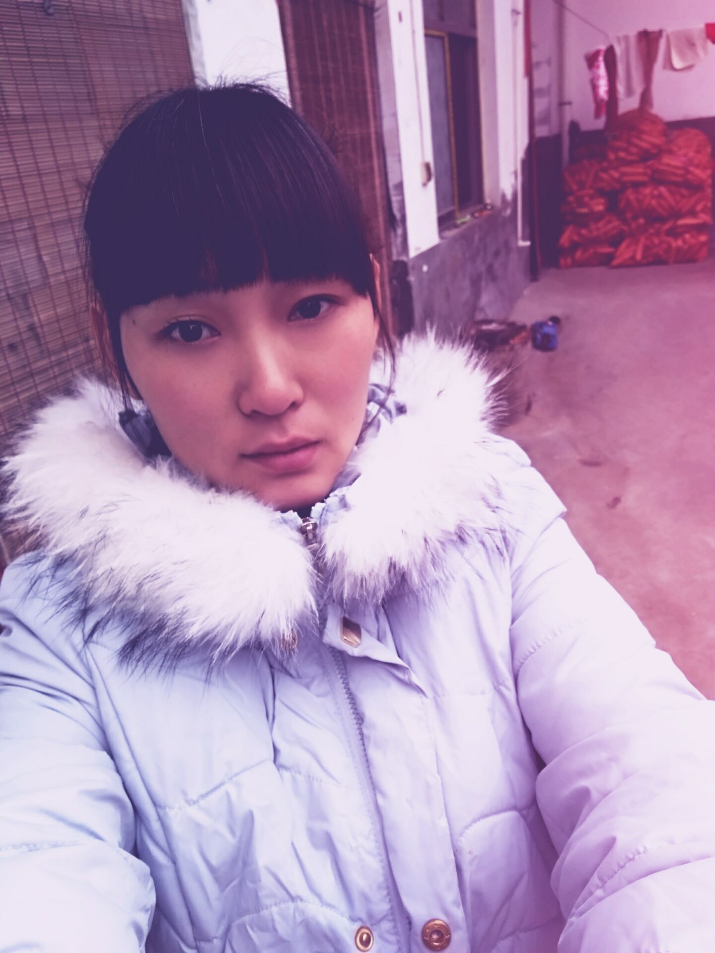 女儿寻家