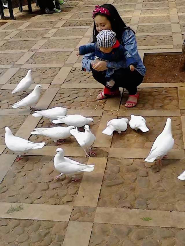 已找了两年的人