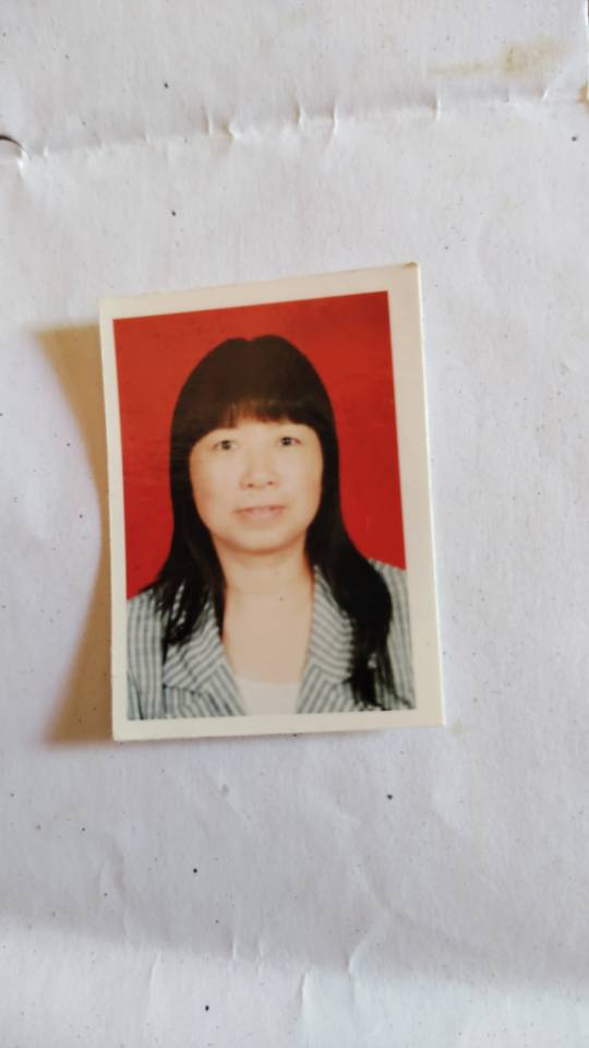 寻找妈妈