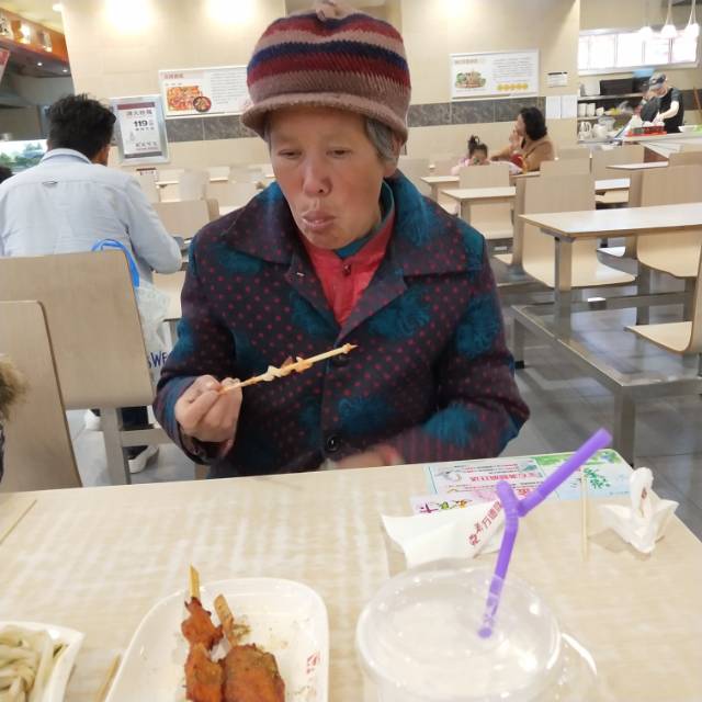 河南省南阳市新野县前高庙乡下庙56号