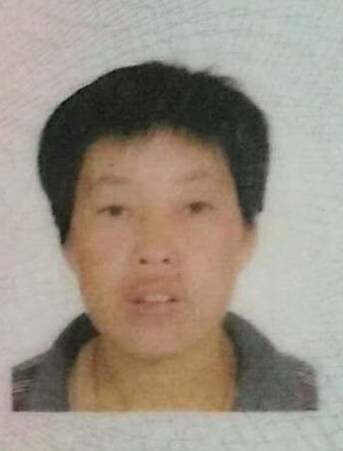 寻找母亲