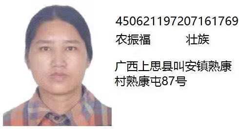 寻找我的母亲农振福