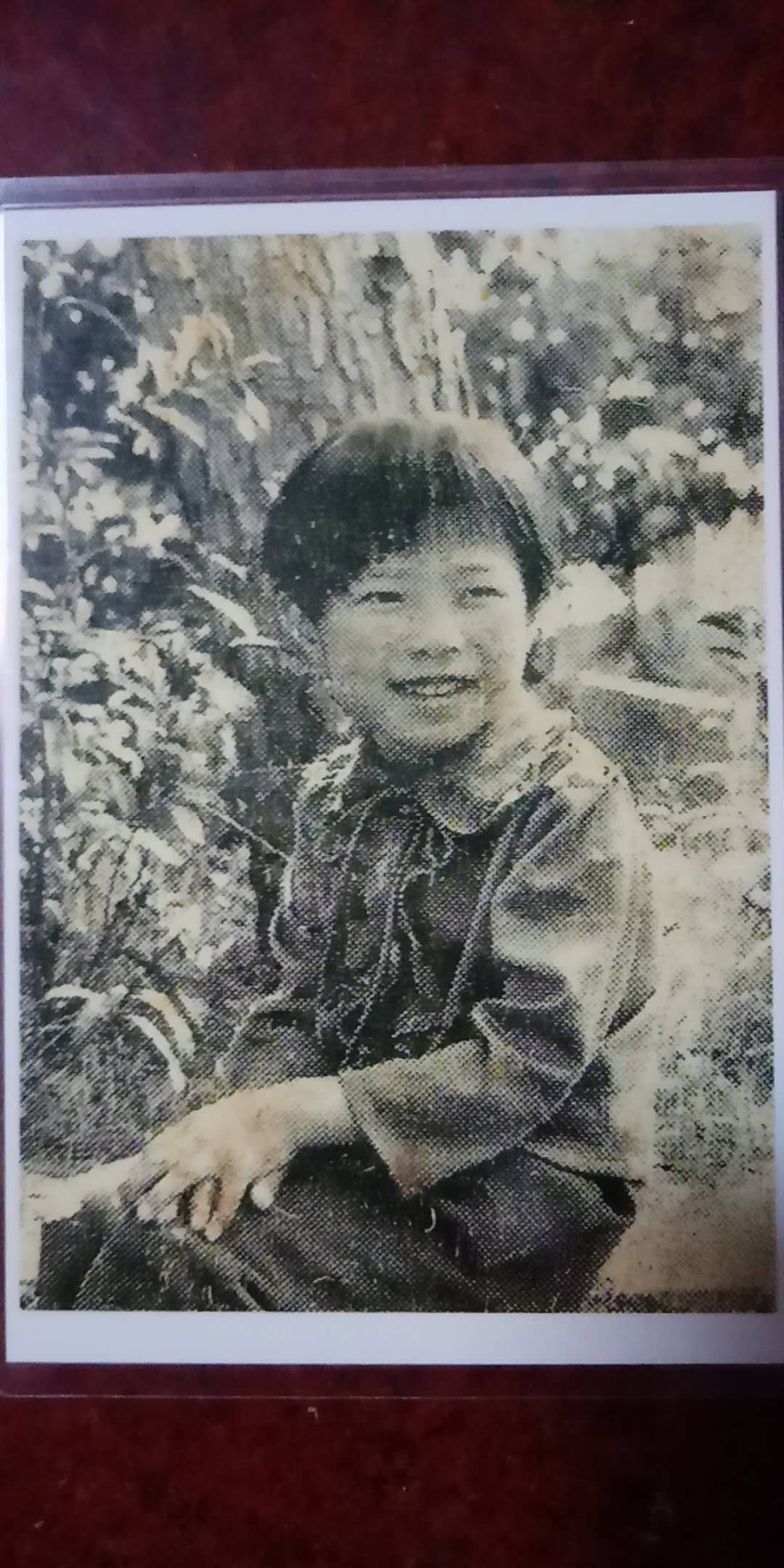 寻找失散36年姐姐