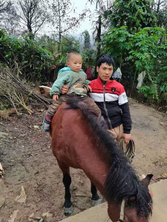 寻找弟弟