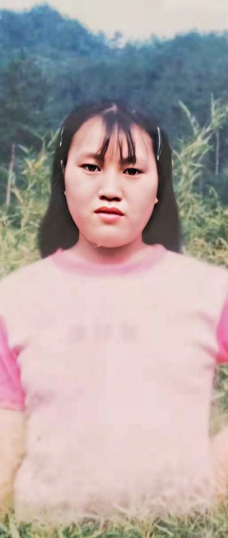 寻找家母