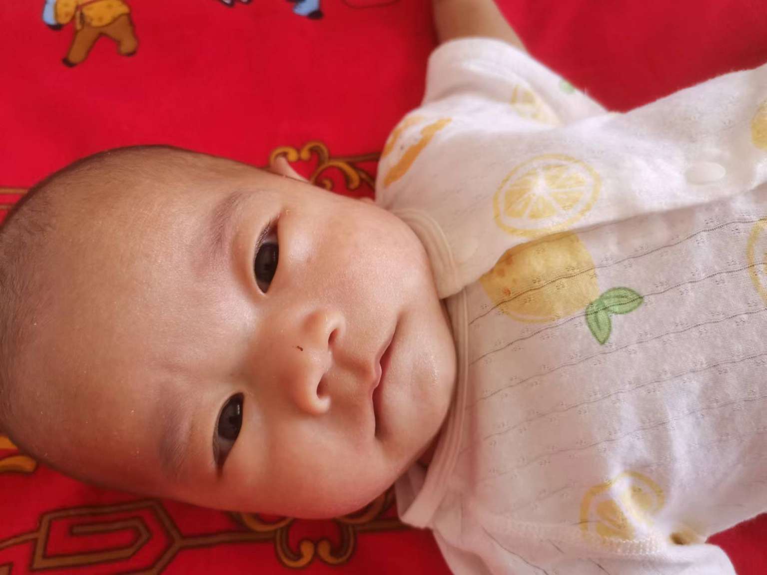 寻其监护人