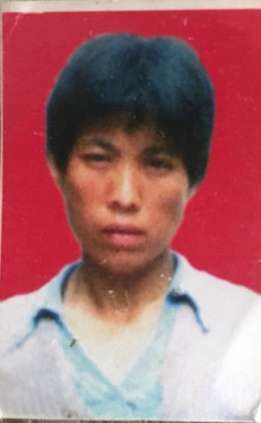 寻找失踪母亲