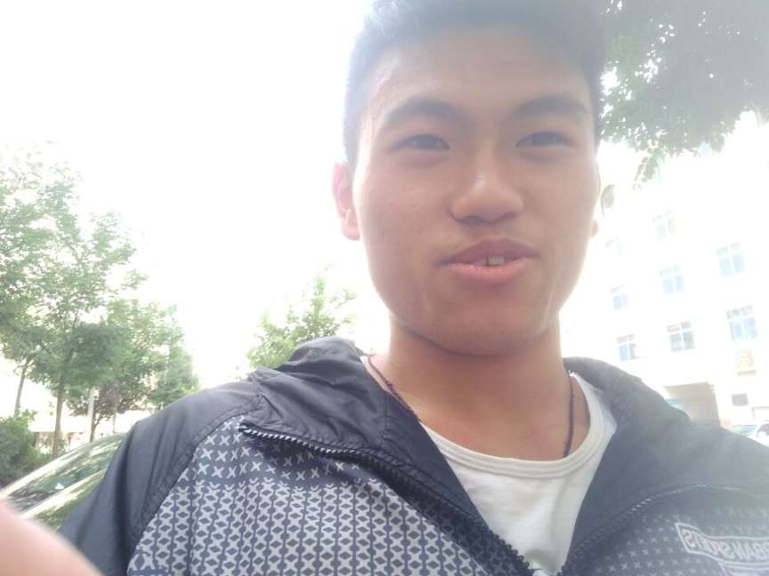 寻弟弟回家