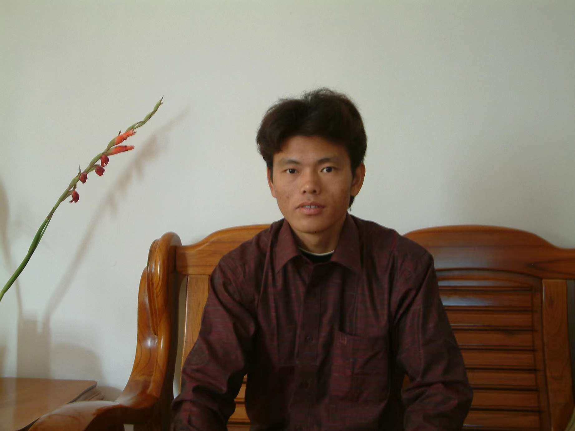 寻找哥哥杨明显