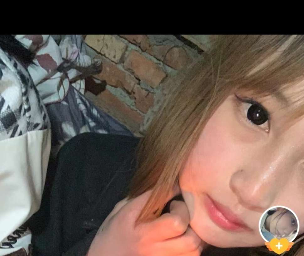 快回来罗菲