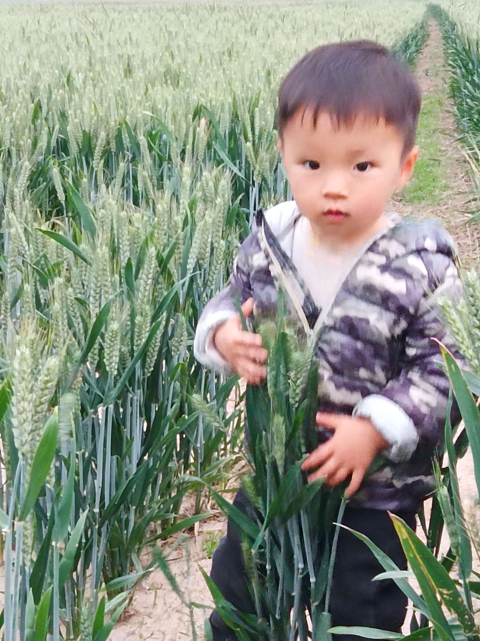 帮助两岁孩子早一点找到亲生父母