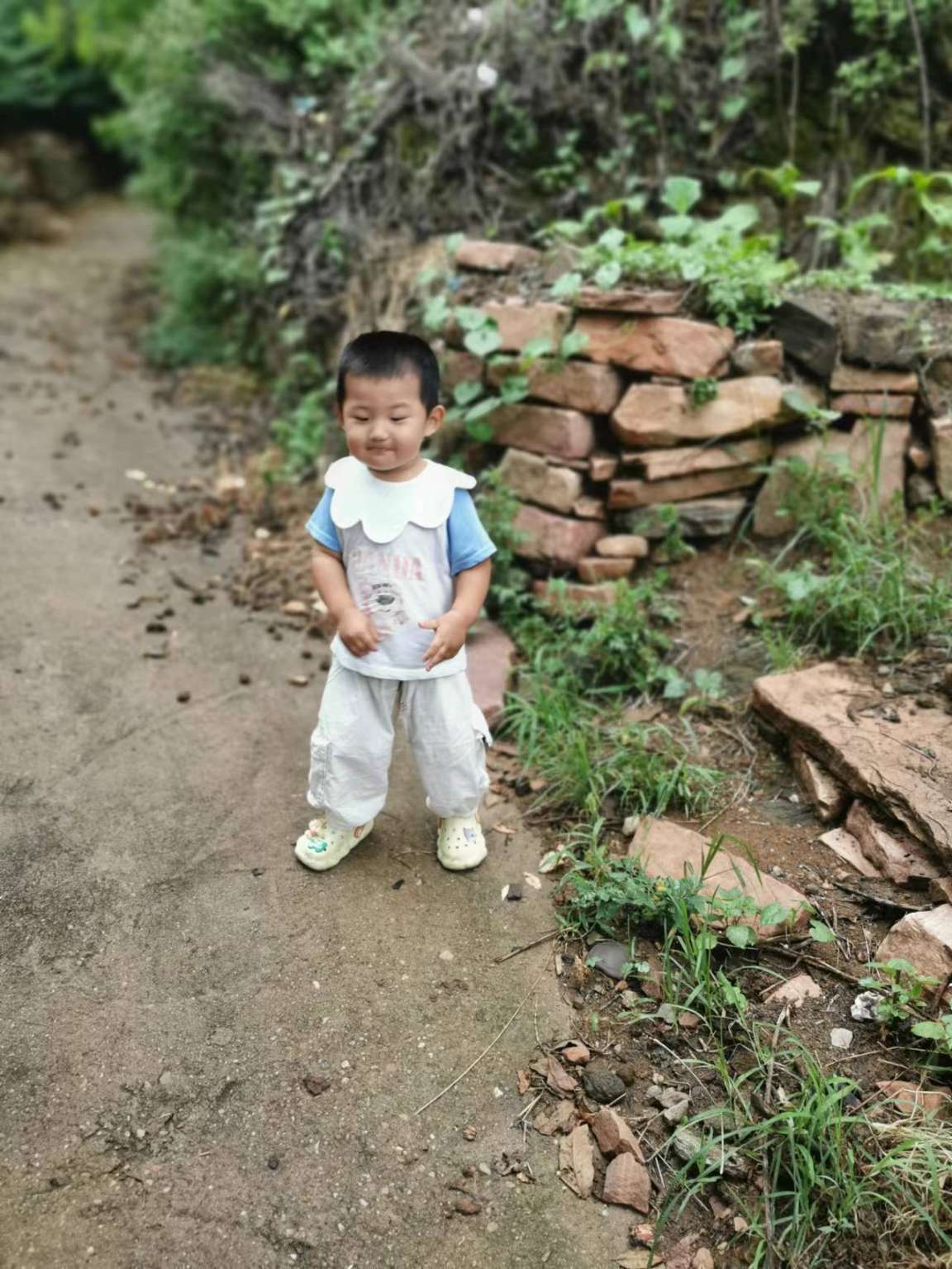 寻找家人