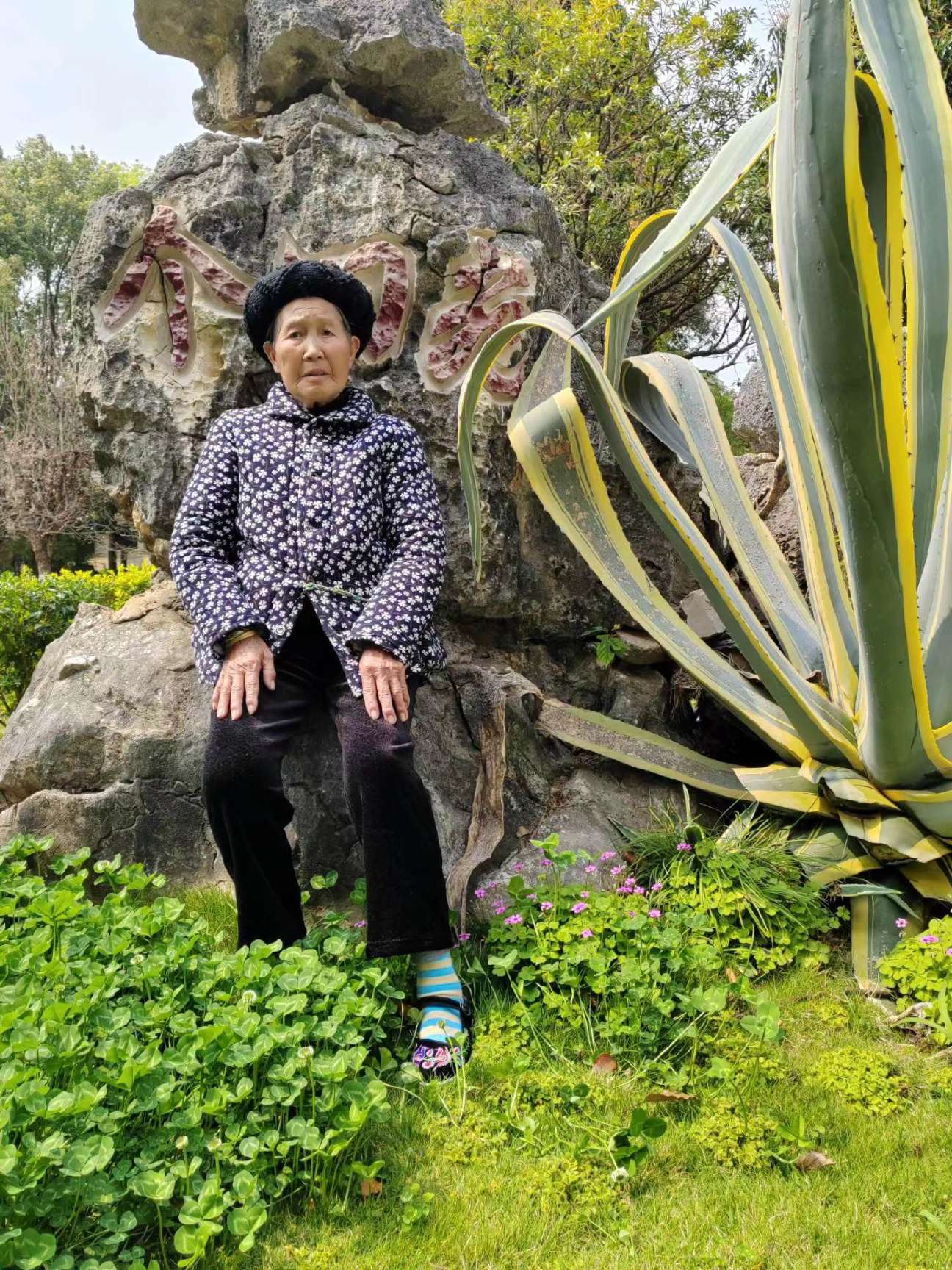 寻找走失的妈妈