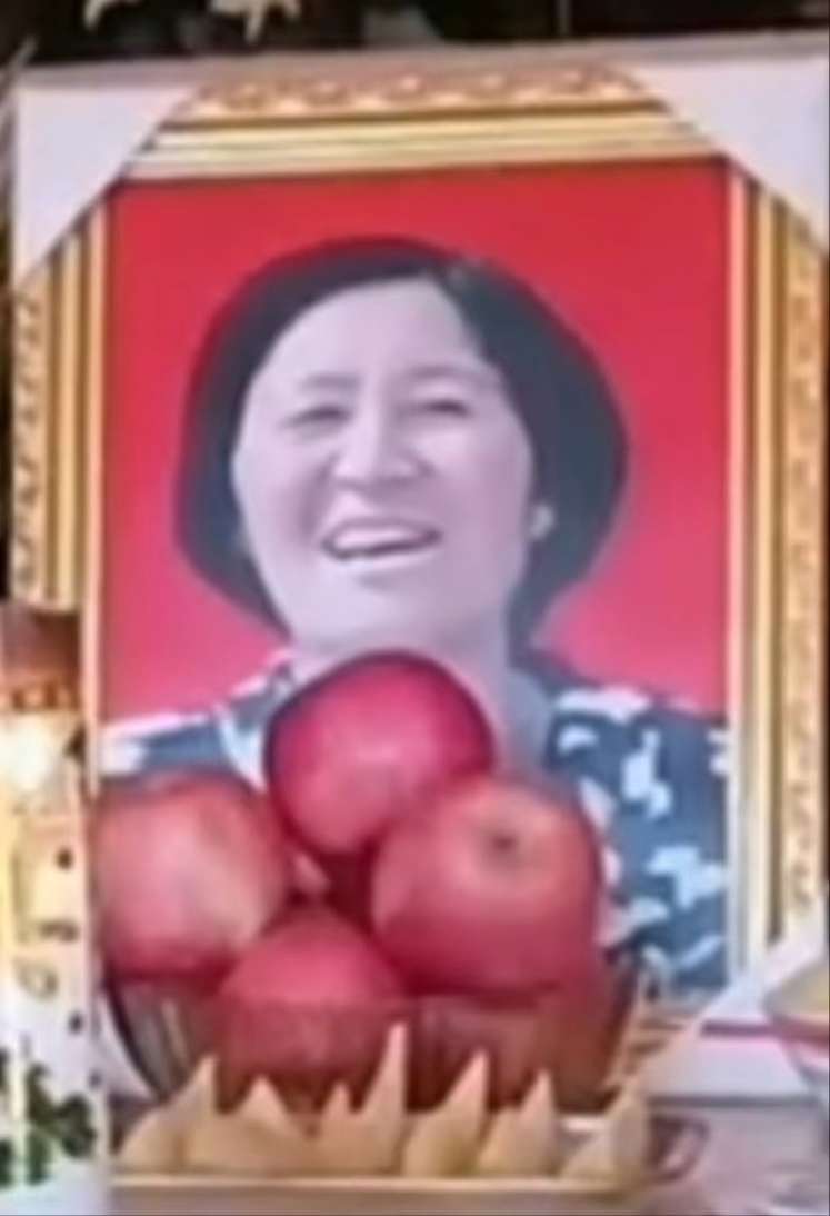 母亲丢失，患有精神疾病，已丢失将近二十年。