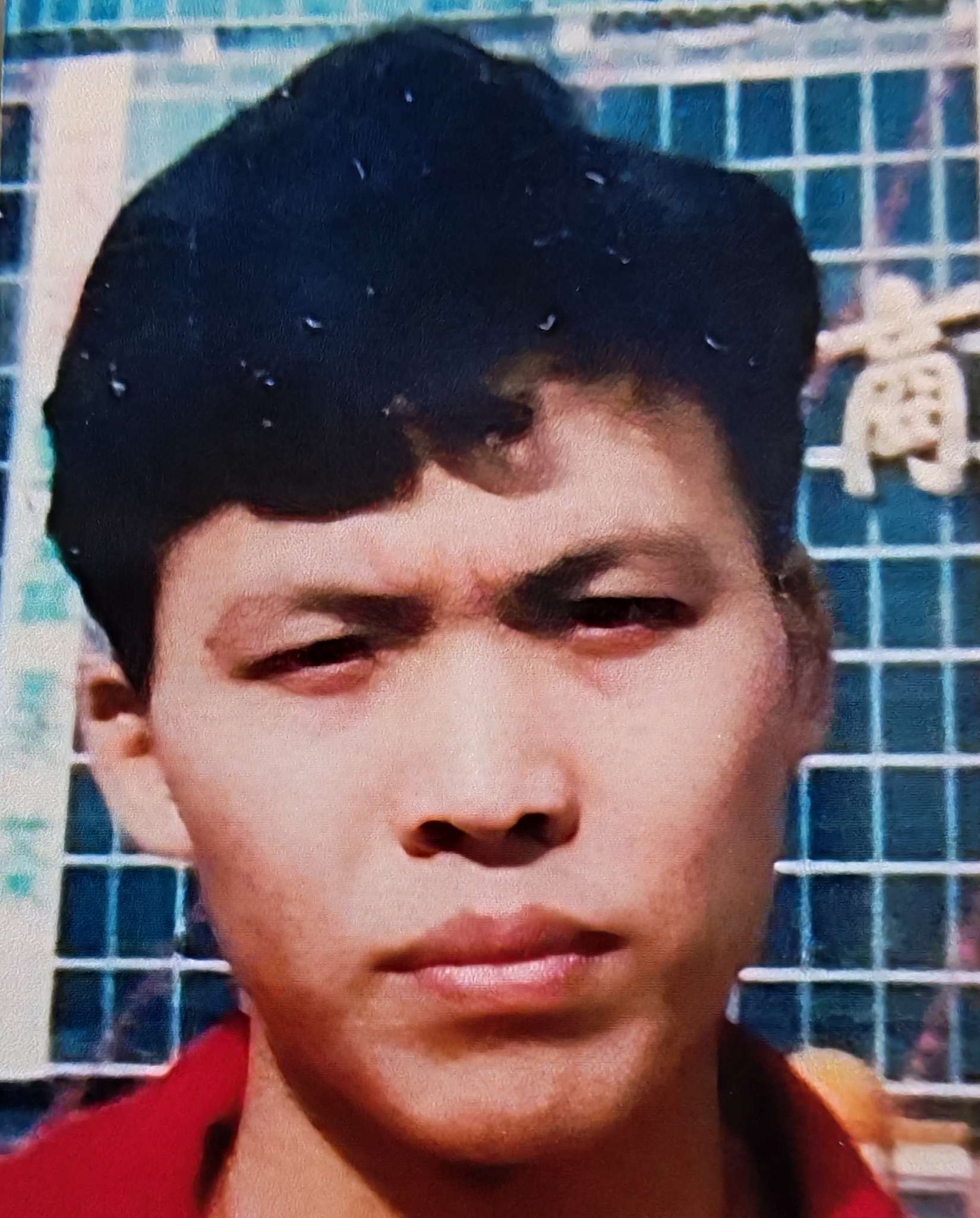 走失已久的犬子，但愿你还在世；如能找见面谢5万元。